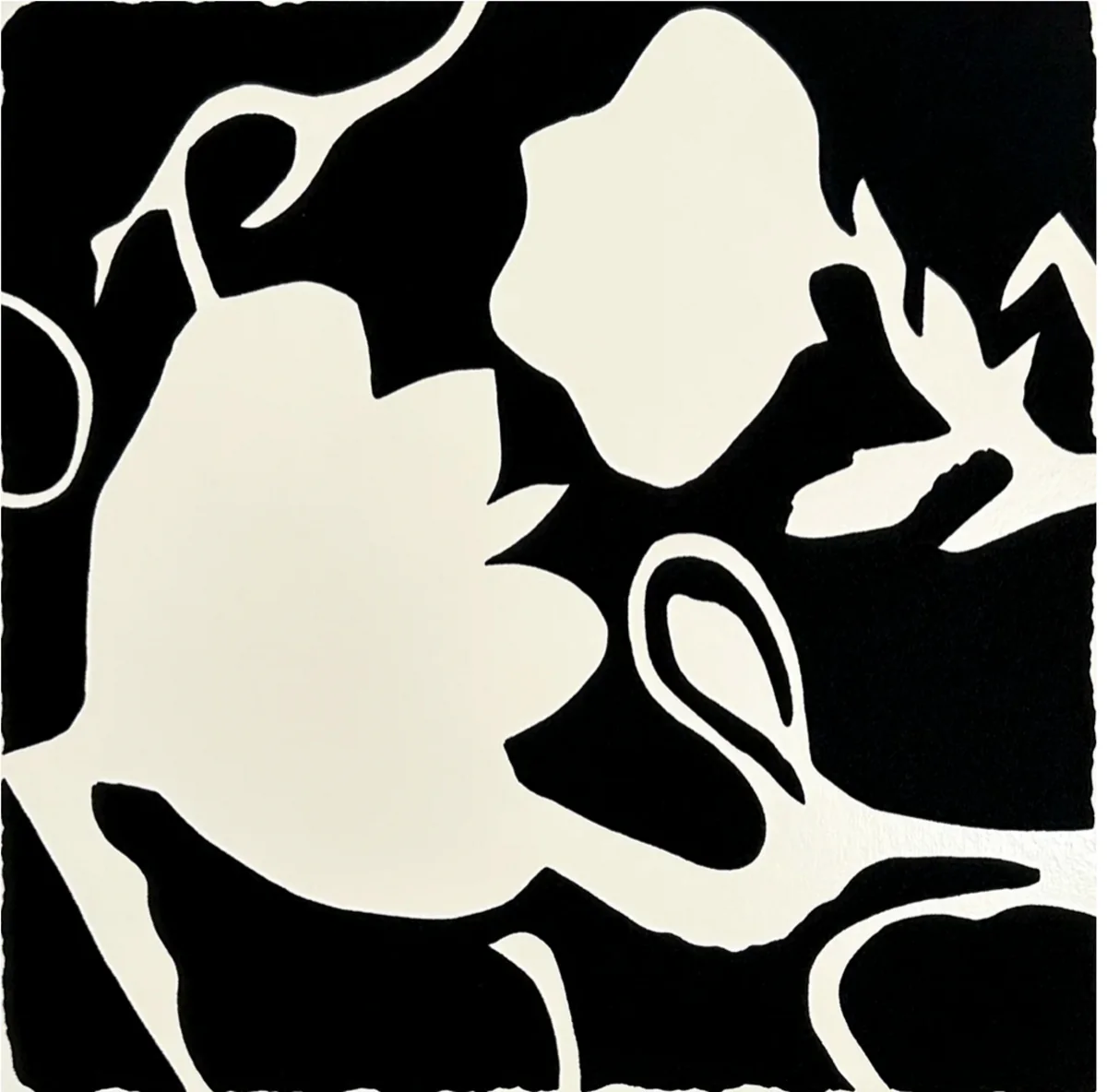 Donald Sultan, White Lantern Flowers, 2025, silkscreen with enamel inks and tar - like texture on Rising…